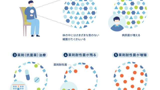 国立健康危機管理研究機構 AMR臨床リファレンスセンター ホームページ内記事 インフォグラフィックで知る! 薬剤耐性（AMR） インフォグラフィック -エジマデザイン- 江島 快仁